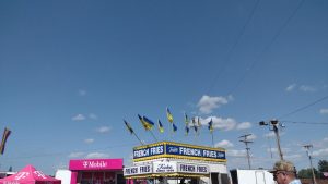 What is this flag? I thought it was the flag of r/vexiloligeyciklejerk but the blue is kinda different anyone know what this is?