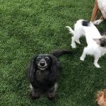 Something about him.