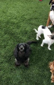 Something about him.