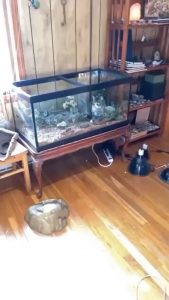 New position acquired