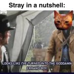 You know the story is a work of fiction not because of the robots, but because the cat actually listens to instructions lol