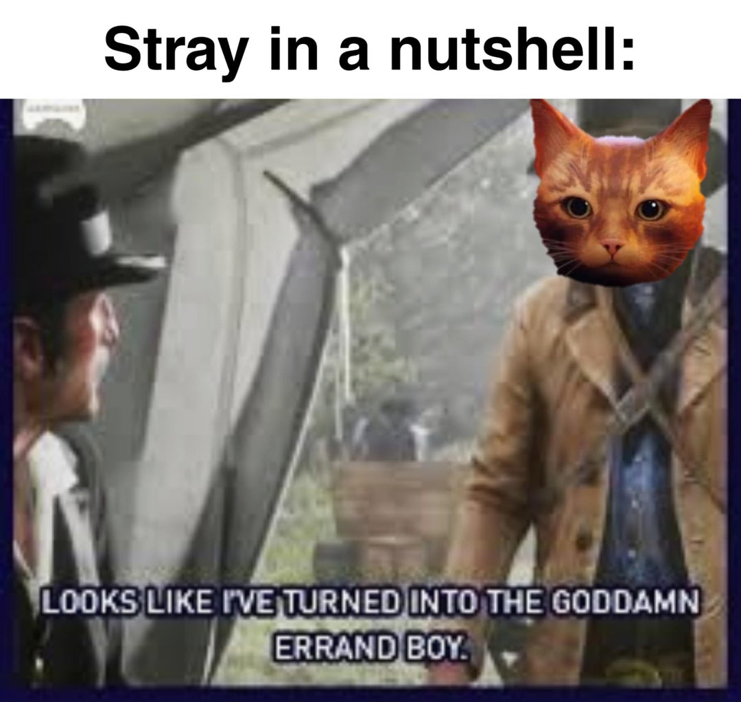 You know the story is a work of fiction not because of the robots, but because the cat actually listens to instructions lol