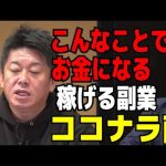 【堀江貴文】こんなことでもお金になる。稼げる副業ココナラ南。