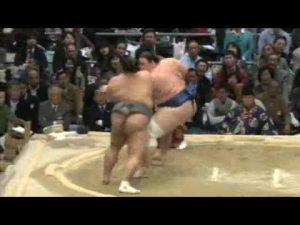 碧山、仕切り線で滑る