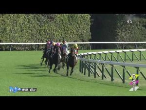 2022 11 19 東京6R 2歳1勝クラス バグラダス(菅原明良)