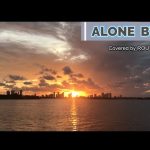 ALONE / B'z / cover / 1991 / 稲葉浩志 / 松本孝弘 / バンドカバー / 宅録