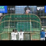 最後のいじり😭日ハム杉谷拳士🥹打撃練習に西武のウグイス嬢・鈴木あずささんが登場😎2022.11.5侍JAPAN強化試合😊