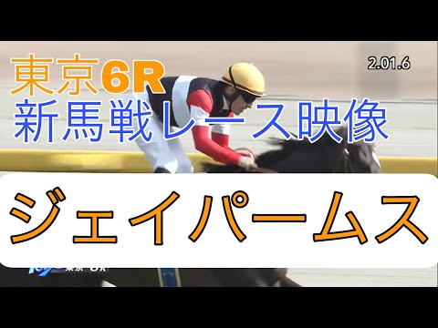 東京6R新馬戦レース映像【ジェイパームス】