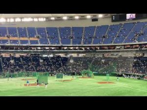 【侍ジャパン】ベルドのウグイス嬢にイジられる杉谷拳士