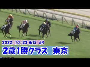 2022/10/23【パドック返し馬つき】東京６R　2歳1勝クラス　　☆メイクアスナッチ　ルーラーシップ　＃レースは１０分ころから