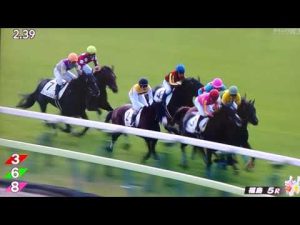 福島5レース障害未勝利 エクスパートラン