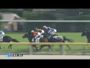2022年10月23日 東京6R 2歳1勝クラス メイクアスナッチ
