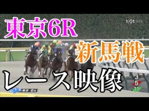 10/22 東京6R 新馬戦 レース映像