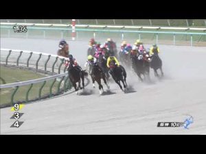 阪神10R灘ステークス2021結果