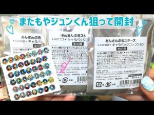 購入品紹介&開封🍂+アニスタ感想【あんスタ、アイチュウ】提供あり！