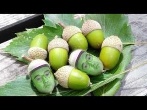 野田草履　中野で開かれている「羊フェスタ」にて様々な催し物を見物。