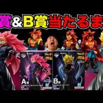 【一番くじ】ドラゴンボール！大炎上してるフィギュア開封したらヒドすぎた？（一番くじ、一番賞、ドラゴンボール）