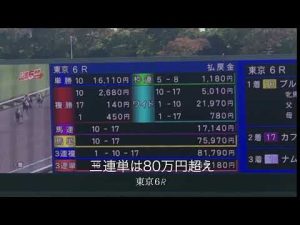 放馬の後の万馬券？