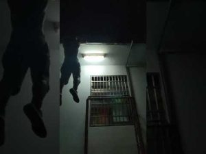放馬