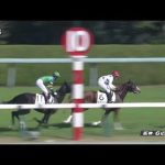 2022 11 06 阪神6R 2歳新馬 バースクライ(福永祐一)