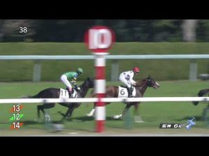 2022 11 06 阪神6R 2歳新馬 バースクライ(福永祐一)
