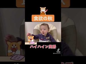 食後も食欲旺盛な赤ちゃん。ハイハインが大好きで止まらない