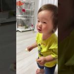 【1歳2ヶ月】両手でハイハイン食べる楓くん#男の子 #お菓子 #かわいい