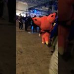 グラブルフェス2019