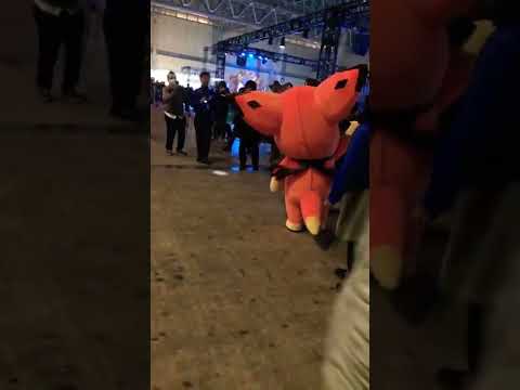 グラブルフェス2019