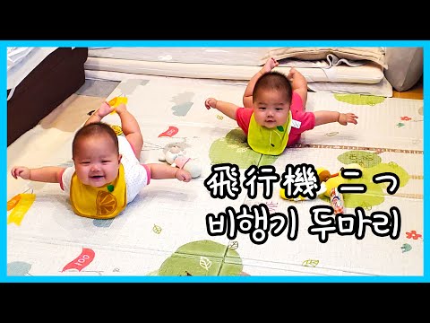 ハイハイの前兆、飛行機ポーズ！すくすく成長する双子ちゃん👶👶 [双子成長日誌]