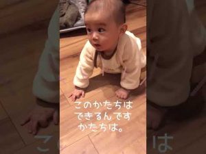 ハイハイのポーズは完璧！あとは日々前進するのみ！【生後5ヶ月赤ちゃん】