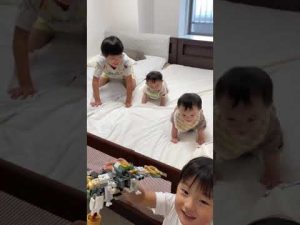 【双子の新ダンス】成長した❗️前後揺れでハイハイポーズ　#short #twins #生後7ヶ月 #赤ちゃん