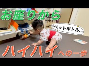 【成長】お座りからハイハイポーズができた7ヶ月赤ちゃん