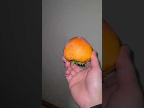 2022.10.29 　奇形の柿　②