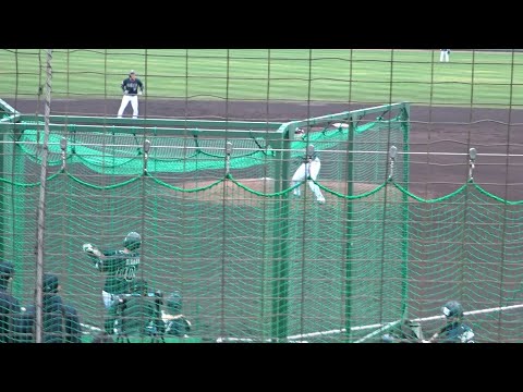 齋藤綱記投手 vs 佐野皓大 → 来田涼斗 → 池田陵真(ルーキー)→ 福永奨(ルーキー)→ 元謙太 → 平野大和 → 渡部遼人(ルーキー)【Live-BP】オリックス・バファローズ春季キャンプ'22