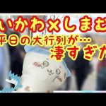 【ちいかわ】しまむらコラボ初日！！ちいかわグッズを求め平日とは思えぬ大行列！！