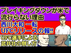 【格闘ニュース】⚪ブレイキングダウンがアメリカでは流行らない理由⚪西川大和 UFCリリースの報⚪UFC選手による動物&武井壮の倒し方⚪堀口恭司 年末は神龍誠?⚪「中井りんUFC以外ならすぐ決まる」