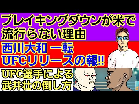 【格闘ニュース】⚪ブレイキングダウンがアメリカでは流行らない理由⚪西川大和 UFCリリースの報⚪UFC選手による動物＆武井壮の倒し方⚪堀口恭司 年末は神龍誠？⚪「中井りんUFC以外ならすぐ決まる」