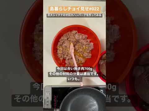 島暮らしチョイ見せ022 シイタケへの無茶ぶり #shorts #愛媛 #忽那諸島 #瀬戸内 #離島 #松山 #中島 #田舎暮らし #空き家 #移住 #シイタケ #ハンバーグ #巨大