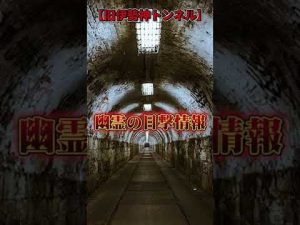 【心霊スポット】女性の幽霊や工事現場のあんちゃんなどの幽霊を多数目撃！？新、旧にかかわらず幽霊が大量は発生する不気味な場所「旧伊勢神トンネル」とは