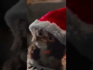 #gremlins gizmo vs stripe