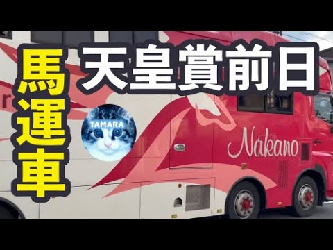 馬運車・競走馬輸送中・天皇賞秋2022