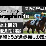 【一口馬主】なぜこうなるのか？セラフィナイトの扱いがやっぱり酷い、でも、セラフィナイトは頑張って勝てる可能性も十分あると思います。