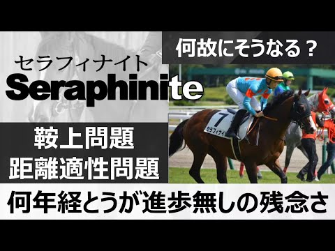 【一口馬主】なぜこうなるのか？セラフィナイトの扱いがやっぱり酷い、でも、セラフィナイトは頑張って勝てる可能性も十分あると思います。