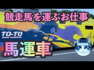 競走馬を運ぶ馬運車・菊花賞の日