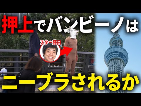【検証】スカイツリーでバンビーノはニーブラされるのか...!?【ダンソン】