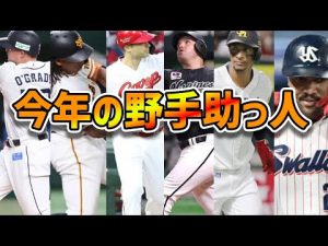 【希少】NPB、打てる助っ人野手がガチで減っている模様