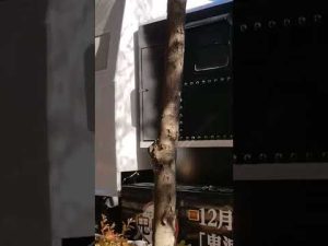 無限列車号 #無限列車#鬼滅の刃#竈門炭治郎 #煉獄杏寿郎 #竈門禰豆子 #我妻善逸 #嘴平伊之助 #魘夢 #猗窩座