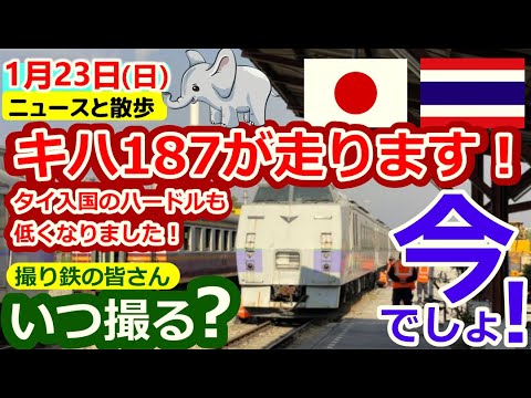 【#214】撮り鉄の皆様お待たせいたしました。キハ183がようやくタイのレールにフィットして試験走行できるようになりました！タイ入国もハードルが下がり、訪タイのチャンス！散歩＆毎日のチェンマイニュース