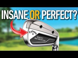 GREAT BIG BERTHA Irons Worth the INSANE PRICE TAG??